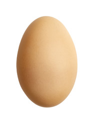 chicken egg closeup isolated on white background