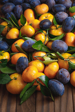  fresh mandarines and plums on wooden background