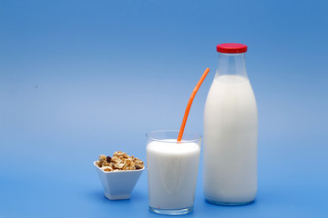 Bottle of milk, cow.