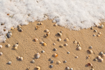 Snow on the beach