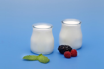 Tubs of natural yogurt, derived from cow's milk.