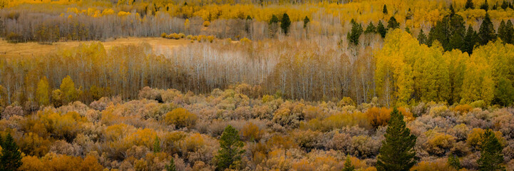 Beautiful Eastern Sierra’s from June Lake to Lake Tahoe