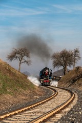 Obraz premium A steam passenger train arrives 