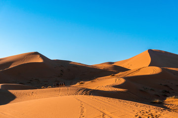 Fototapeta na wymiar Sand dunes of Erg Chebbi in the Sahara Desert, Morocco