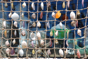 Sea shells hanging on fishing netting