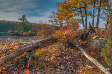 Fototapeta premium Harriman State Park