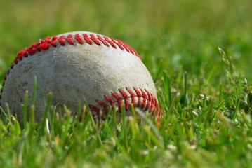 Baseball on grass