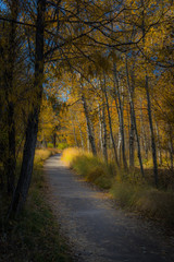Beautiful Eastern Sierra’s from June Lake to Lake Tahoe