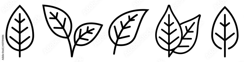 Wall mural leaf simple icon set. vector