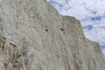 White Cliffs