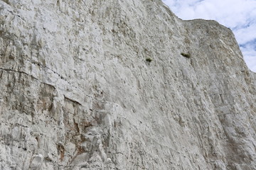 White Cliffs