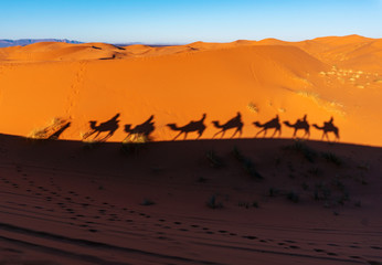 Fototapeta na wymiar Shades of Camel caravan on sand dunes in Sahara desert, Morocco