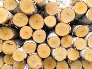 Fototapeta premium Photo of stacked cut birch tree logs, lumbered wood, forested trees