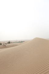 Dubai Desert