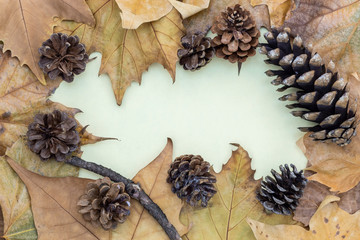 Composition Using Dry Autumn Leaves, Pine Cones and Dry Wood Branch With Copy Space in The Middle