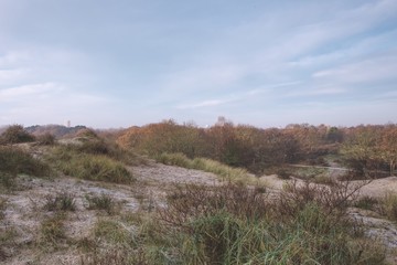 Dunes and forest called Meyendel in The Hague in winter with frost and sunrise