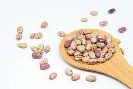 Bean pint or bean on white background