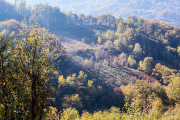 Beautiful countryside view of autumn landscape