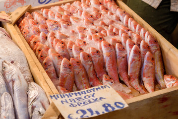 fresh fish stung in the ice in Varvakios Agora market in Athens Greece