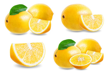 Fototapeta na wymiar Lemon fruit on a white isolated background
