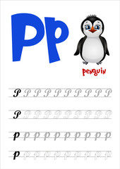 Design page layout of the English alphabet to teach writing upper and lower case letter P with funny cartoon Penguin. Flat style. Vector illustration