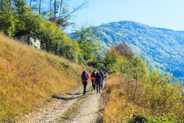 Fototapeta premium Hiking Group Of People Walking In Nature