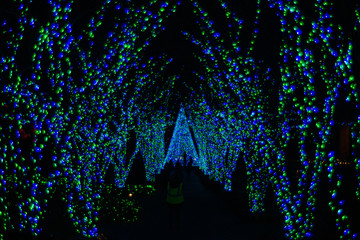 christmas tree pathway with stars and lights