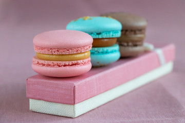 Macarons with cream in pastel colors. Close up view.