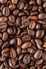 Black coffee beans studio shot.