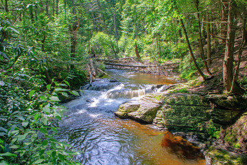 Obraz premium Meandering Brook