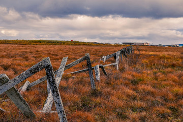 The Tundra, Yukon Delta