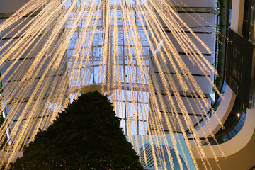 Christmas tree and light lines for celebrity