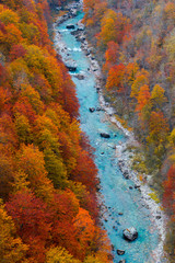 Red autumn forest and blue mountain river aerial view. Montenegro, Tara river canyon.