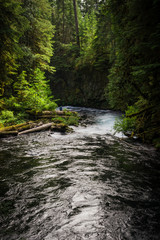 Obraz premium Collection of Landscapes