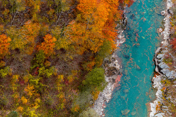 Red autumn forest and blue mountain river aerial view. Montenegro, Tara river canyon.