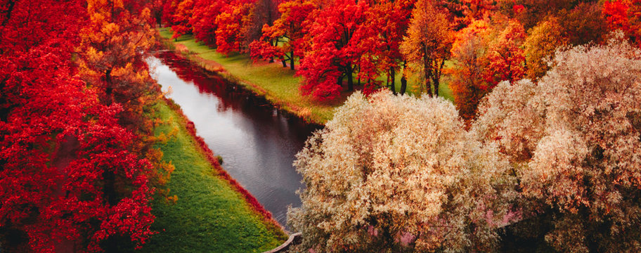Autumn in Tsarskoye selo. Pushkin city.