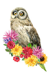 forest animals, owl with a bouquet of flowers, watercolor illustration, hand drawing, a collection of elements on an isolated white background