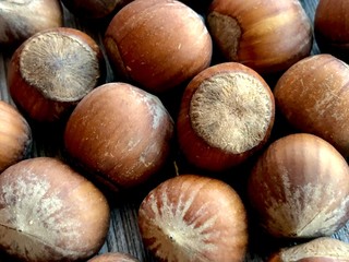 hazelnuts on white background