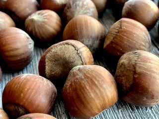 hazelnuts on wooden background