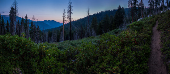 Panoramic image of a vast mountain landscape taken at sunset in Mineral King, California.  