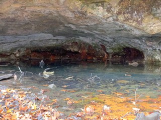 cave in the forest with water