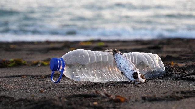 Side by a side, a dead fish on a sandy beach next to a discarded plastic bottle