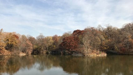 Obraz premium autumn landscape with lake and trees