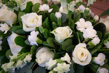 white roses 