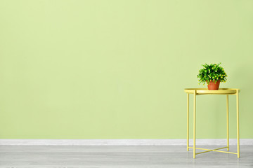 Table with houseplant near color wall in room