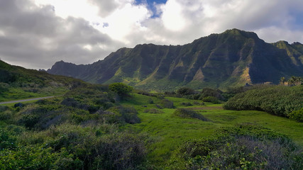 Fototapeta na wymiar Windward Oahu, Hawaii is one of the most beautiful places in the world for a horseback ride
