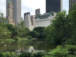 bridge in central park