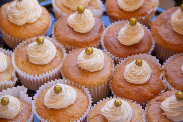 muffin sencillos vainilla