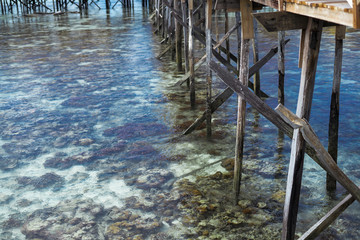 Roral reef around an island in Celebes Sea during low tide, which makes amazing scenery and shows small marine organisms. Remote islands in Bum Bum Island with healthy coral reef.