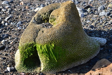 hermoso paisaje en la guajira colombia